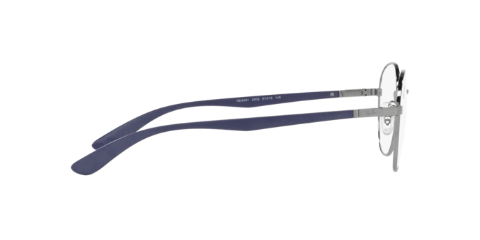 Ray-Ban Eyeglasses RX6461 2502