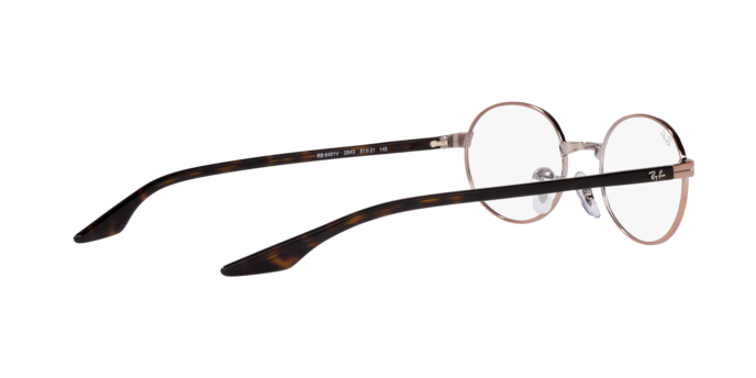 Ray-Ban Eyeglasses RX6481V 2943