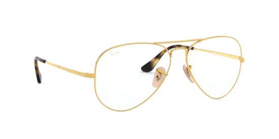 Ray-Ban Aviator Eyeglasses RX6489 2500