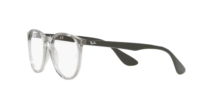 Ray-Ban Erika Eyeglasses RX7046 8141