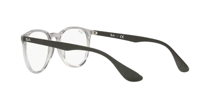 Ray-Ban Erika Eyeglasses RX7046 8141