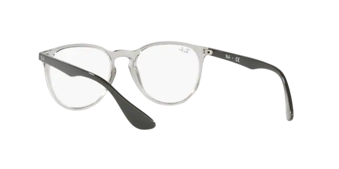 Ray-Ban Erika Eyeglasses RX7046 8141