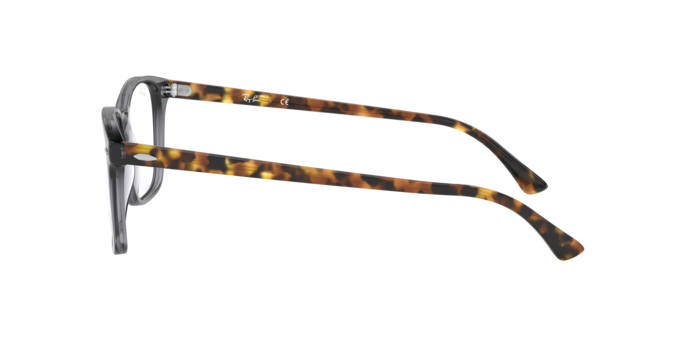 Ray-Ban Eyeglasses RX7119 5629