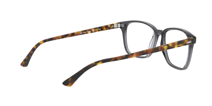 Ray-Ban Eyeglasses RX7119 5629