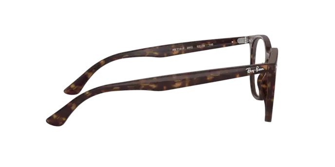 Ray-Ban Hexagonal Eyeglasses RX7151F 2012