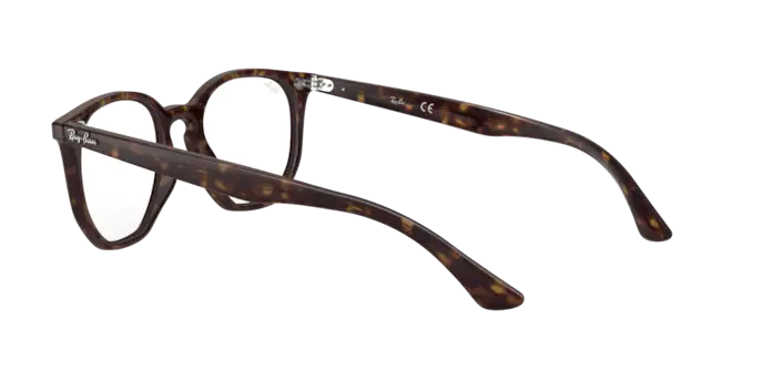 Ray-Ban Hexagonal Eyeglasses RX7151 2012