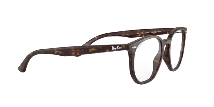 Ray-Ban Hexagonal Eyeglasses RX7151 2012