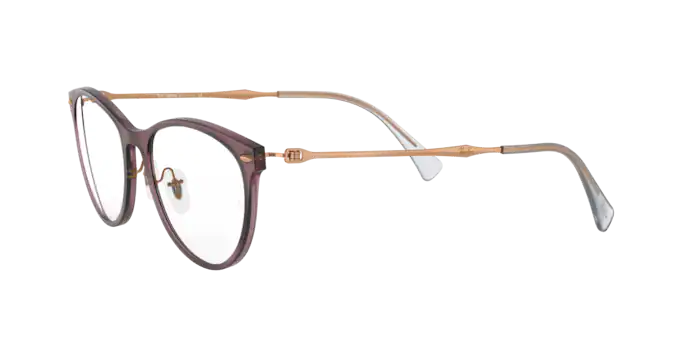 Ray-Ban Eyeglasses RX7160 5868