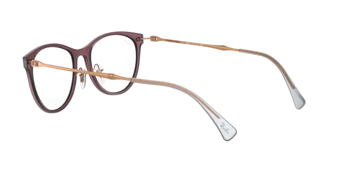 Ray-Ban Eyeglasses RX7160 5868