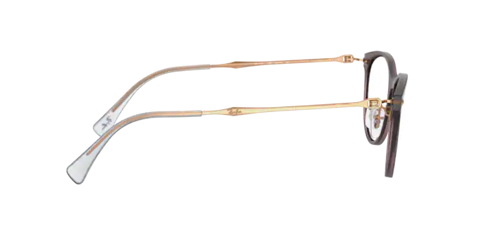 Ray-Ban Eyeglasses RX7160 5868