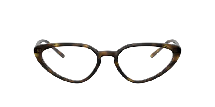 Ray-Ban Eyeglasses RX7188 2012