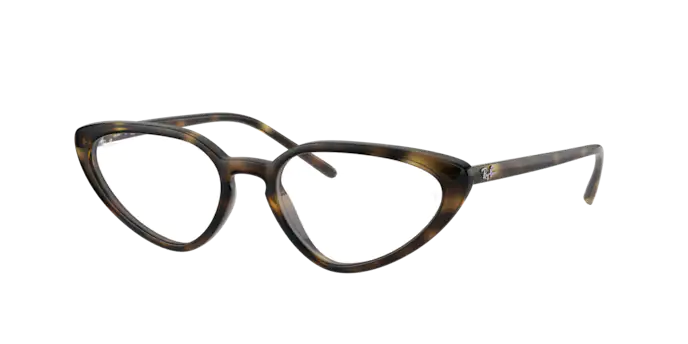 Ray-Ban Eyeglasses RX7188 2012