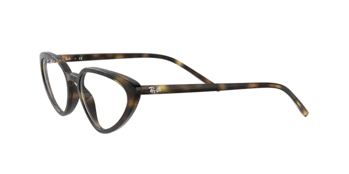 Ray-Ban Eyeglasses RX7188 2012