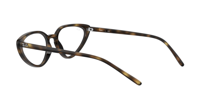 Ray-Ban Eyeglasses RX7188 2012