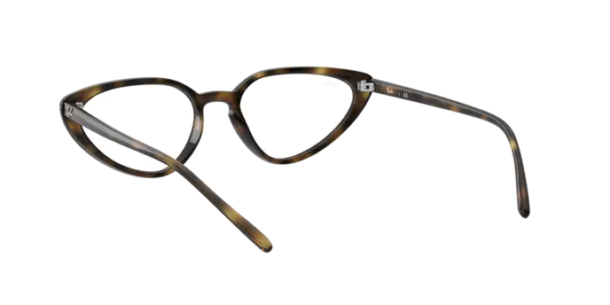 Ray-Ban Eyeglasses RX7188 2012