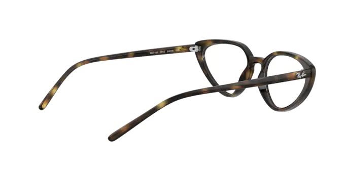 Ray-Ban Eyeglasses RX7188 2012