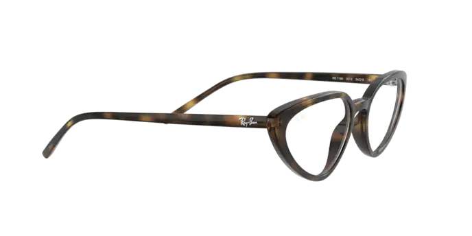Ray-Ban Eyeglasses RX7188 2012