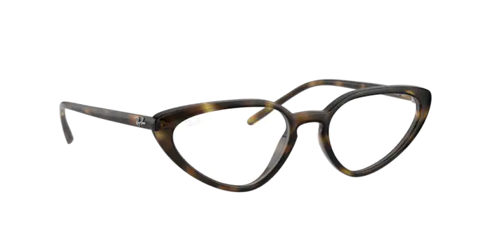 Ray-Ban Eyeglasses RX7188 2012