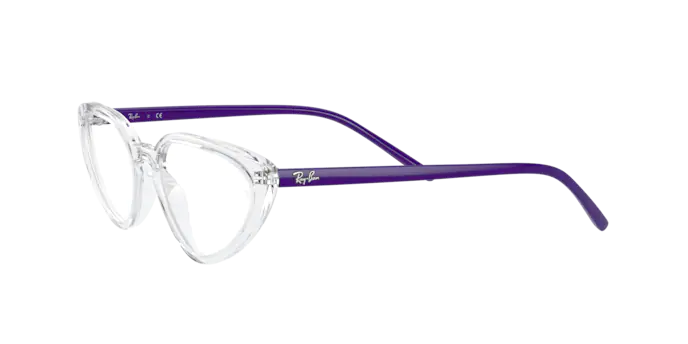 Ray-Ban Eyeglasses RX7188 8086