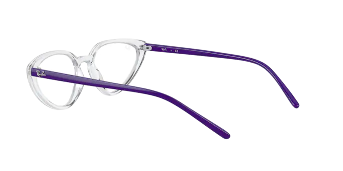 Ray-Ban Eyeglasses RX7188 8086