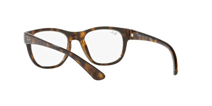 Ray-Ban Eyeglasses RX7191 2012