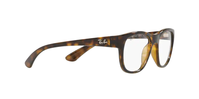 Ray-Ban Eyeglasses RX7191 2012