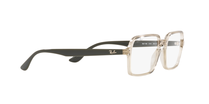 Ray-Ban Eyeglasses RX7198 8141