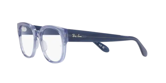 Ray-Ban Eyeglasses RX7210 8204