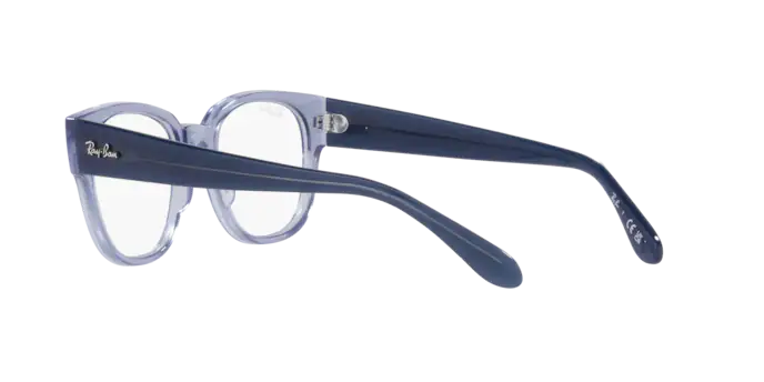 Ray-Ban Eyeglasses RX7210 8204