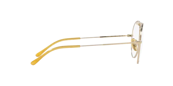 Ray-Ban Eyeglasses RX8063V 1220