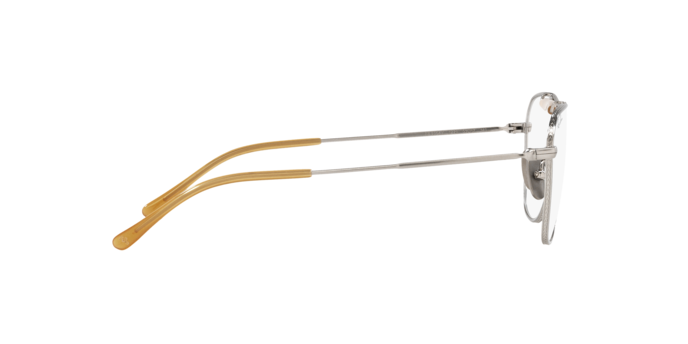 Ray-Ban Eyeglasses RX8064V 1221