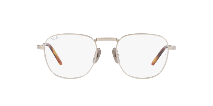 Ray-Ban Frank Titanium Eyeglasses RX8258V 1224