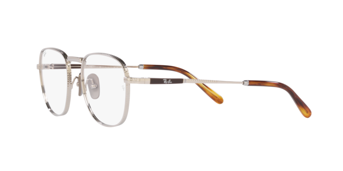 Ray-Ban Frank Titanium Eyeglasses RX8258V 1224