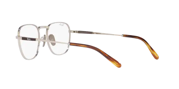 Ray-Ban Frank Titanium Eyeglasses RX8258V 1224