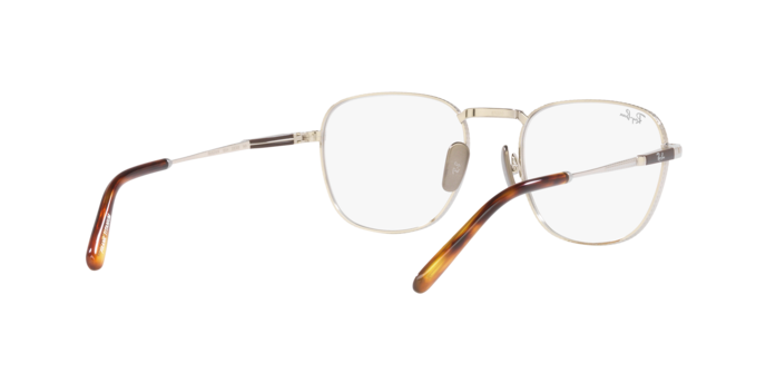 Ray-Ban Frank Titanium Eyeglasses RX8258V 1224