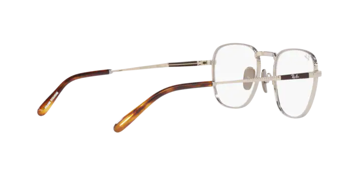 Ray-Ban Frank Titanium Eyeglasses RX8258V 1224