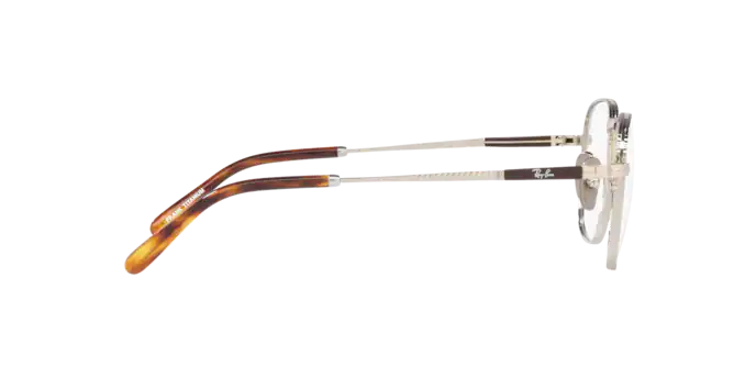 Ray-Ban Frank Titanium Eyeglasses RX8258V 1224