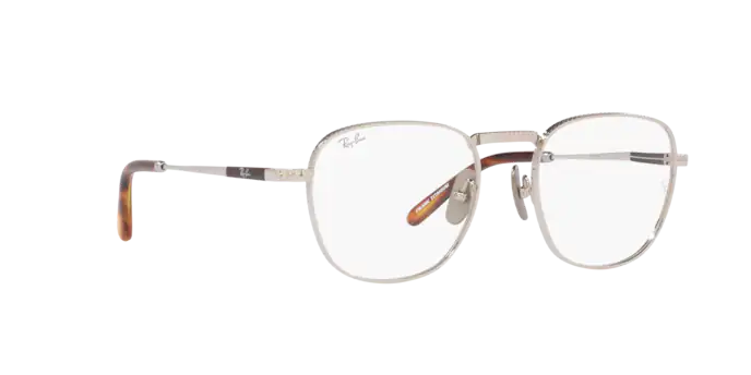 Ray-Ban Frank Titanium Eyeglasses RX8258V 1224