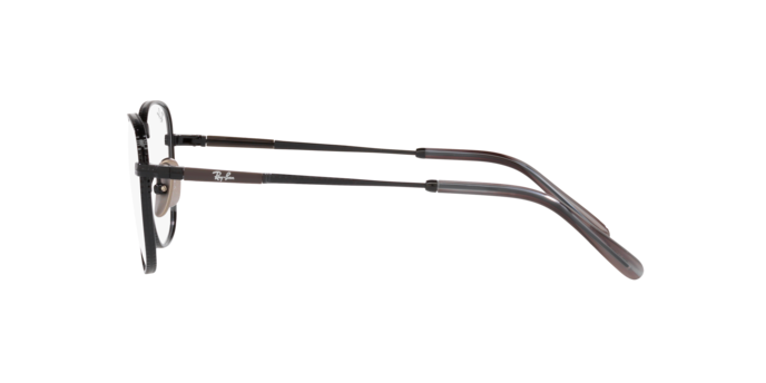 Ray-Ban Frank Titanium Eyeglasses RX8258V 1237