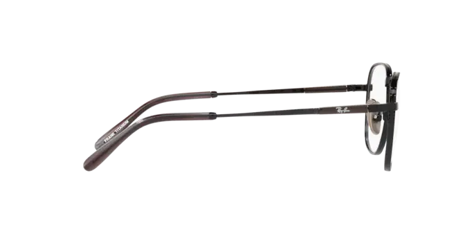 Ray-Ban Frank Titanium Eyeglasses RX8258V 1237