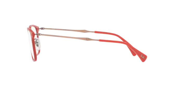 Ray-Ban Eyeglasses RX8953 5758