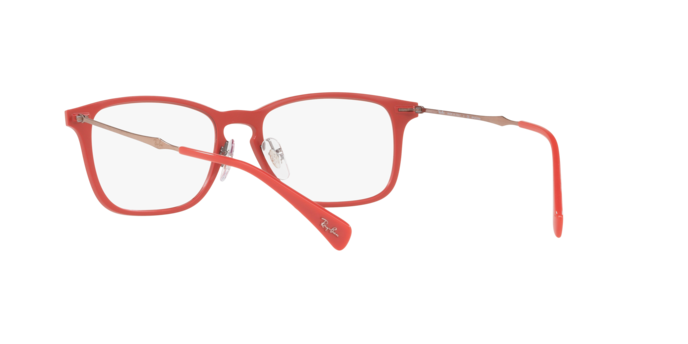 Ray-Ban Eyeglasses RX8953 5758