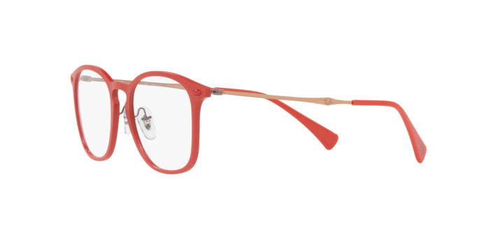 Ray-Ban Eyeglasses RX8954 5758