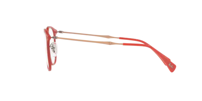 Ray-Ban Eyeglasses RX8954 5758