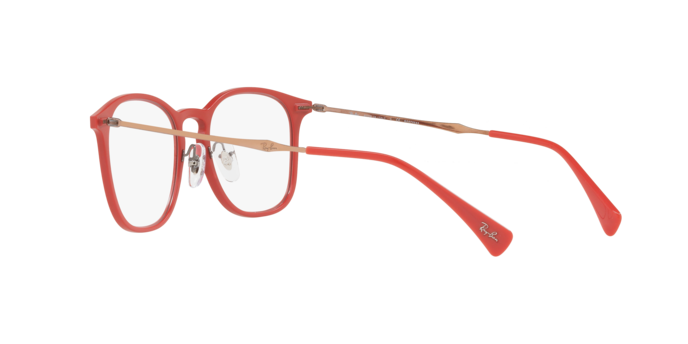 Ray-Ban Eyeglasses RX8954 5758
