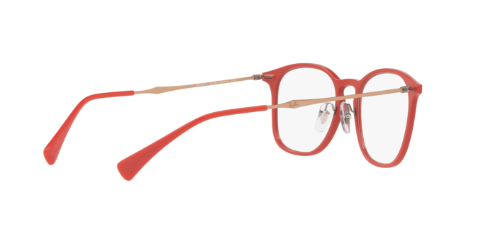 Ray-Ban Eyeglasses RX8954 5758