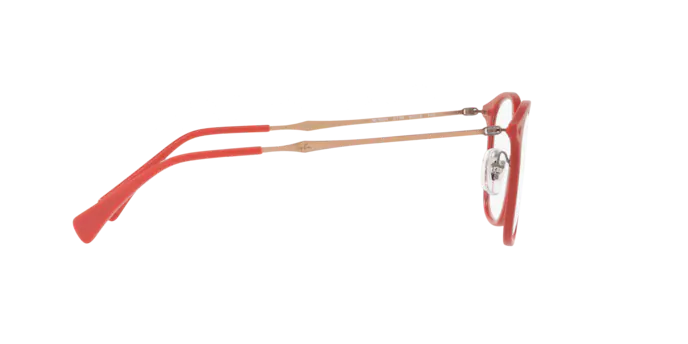 Ray-Ban Eyeglasses RX8954 5758