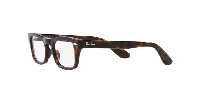 Ray-Ban Junior Burbank RY9083V 3887