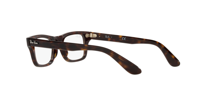 Ray-Ban Junior Burbank RY9083V 3887