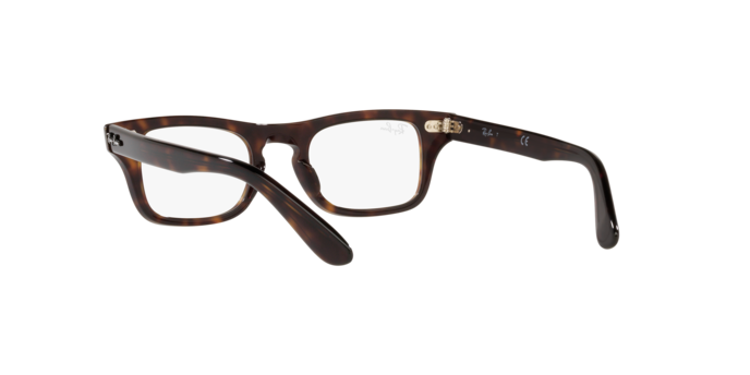 Ray-Ban Junior Burbank RY9083V 3887